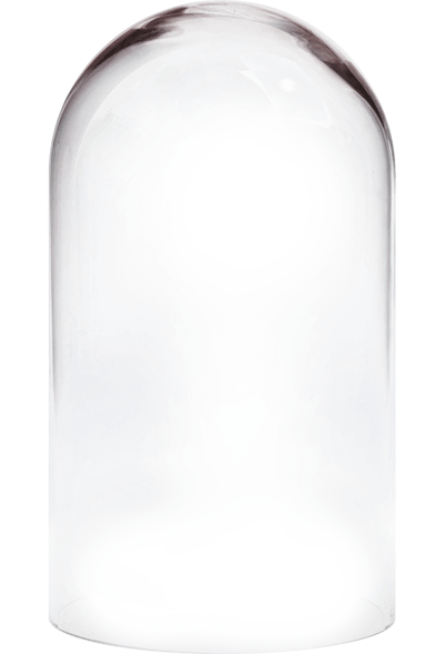 Розы в колбе в Молдове